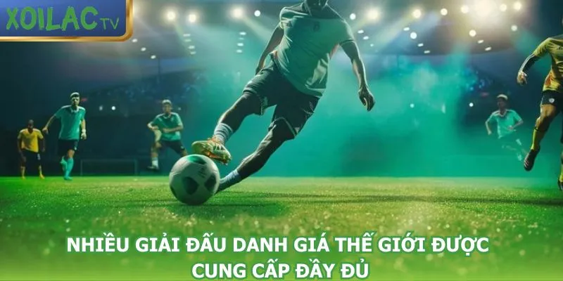 nhieu-giai-dau-danh-gia-the-gioi-duoc-cung-cap-day-du
