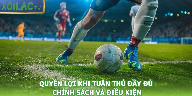 quyen-loi-khi-tuan-thu-day-du-chinh-sach-va-dieu-khoan