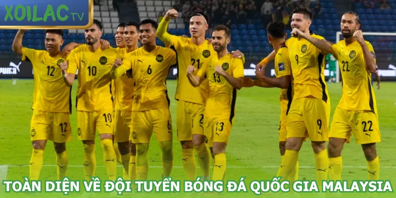 toan-dien-ve-doi-tuyen-bong-da-quoc-gia-malaysia
