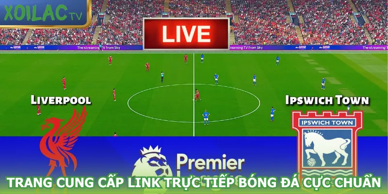 trang-cung-cap-link-truc-tiep-bong-da-cuc-chuan